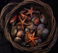 basket of shells